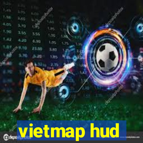 vietmap hud