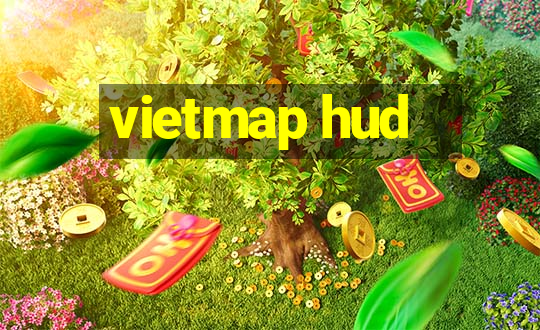 vietmap hud