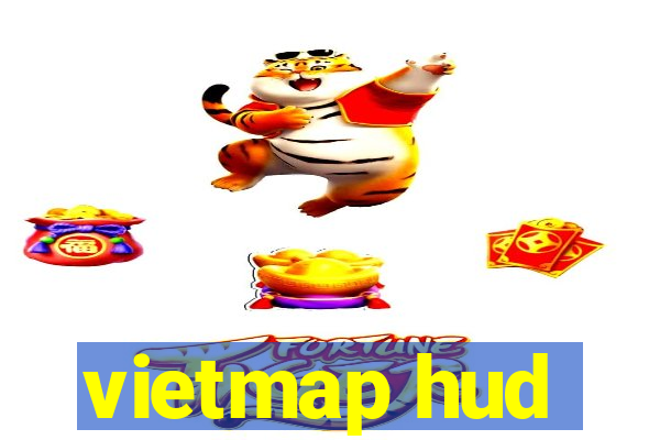 vietmap hud