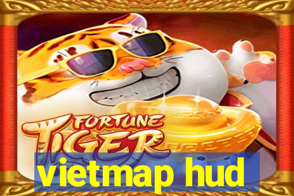 vietmap hud