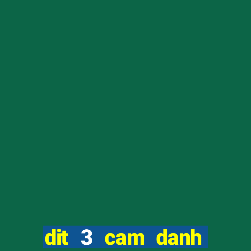 dit 3 cam danh con gi