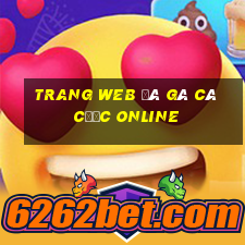 trang web đá gà cá cược online