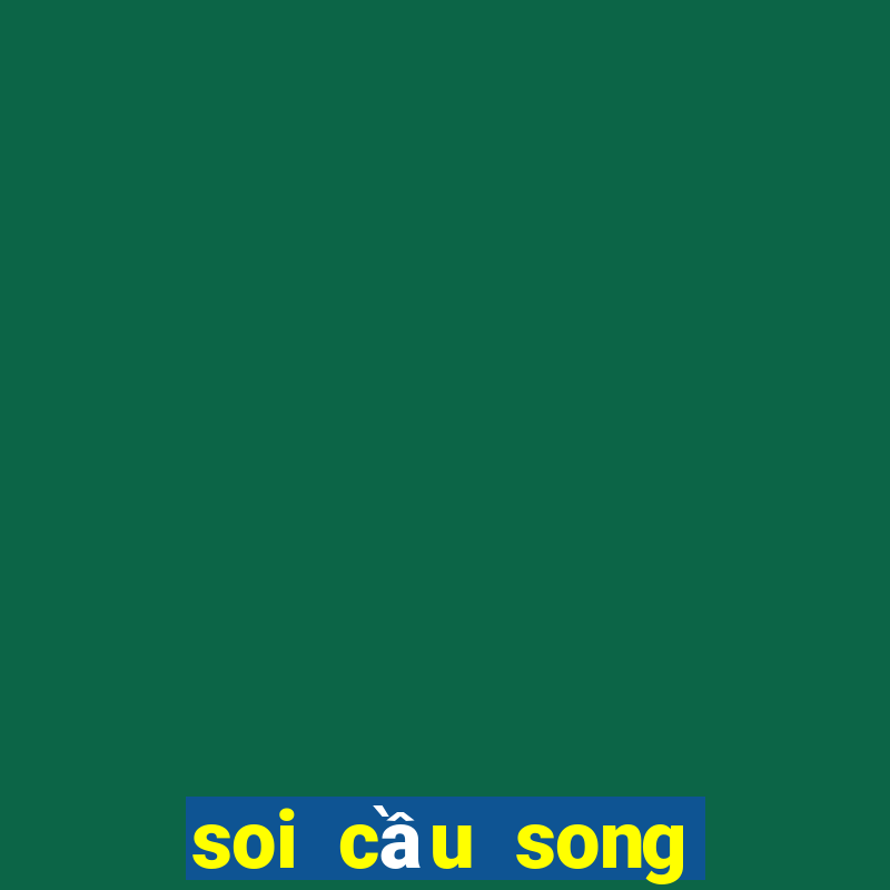 soi cầu song thủ lô hàng ngày