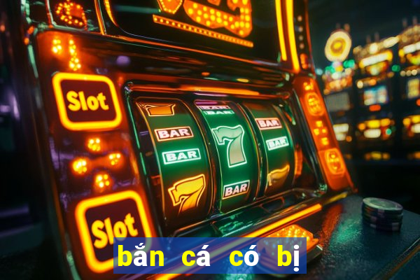 bắn cá có bị cấm không