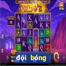 đội bóng ngoại hạng anh