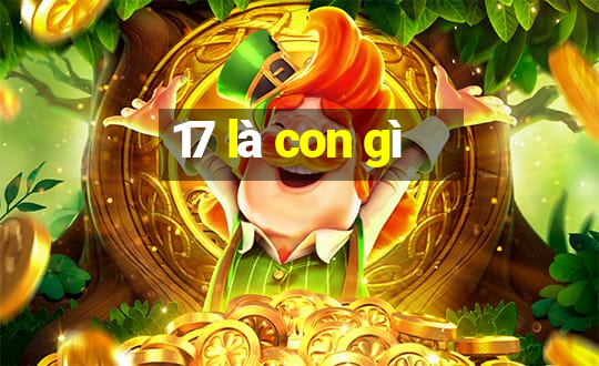 17 là con gì