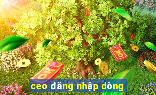 ceo đăng nhập dòng