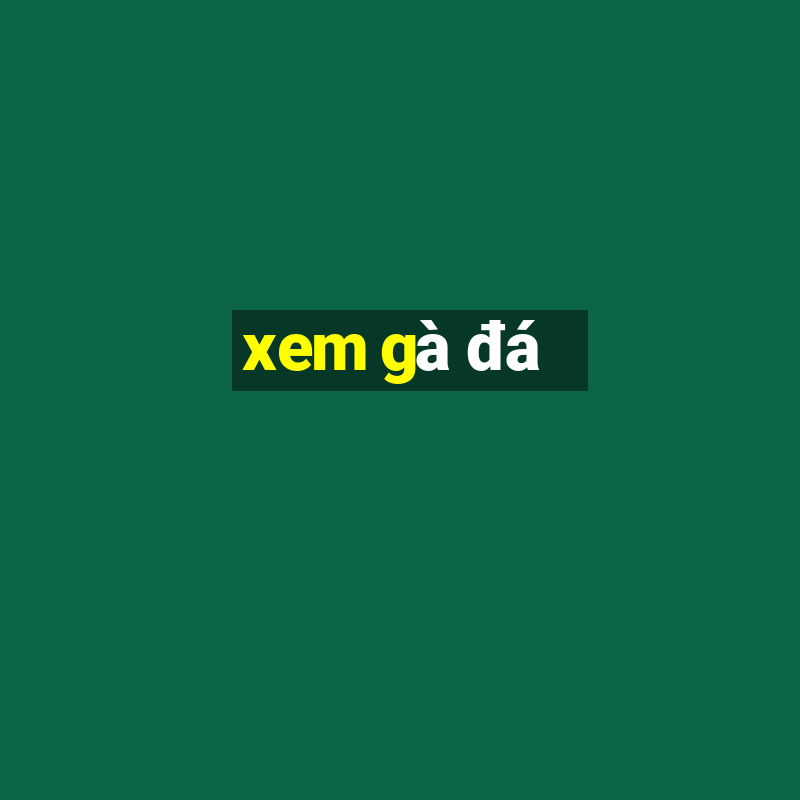 xem gà đá