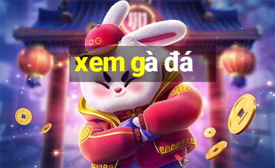 xem gà đá