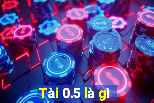 Tài 0.5 là gì