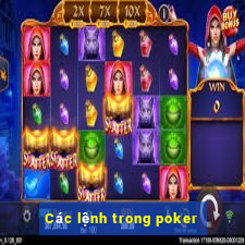 Các lệnh trong poker