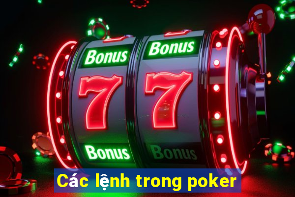 Các lệnh trong poker