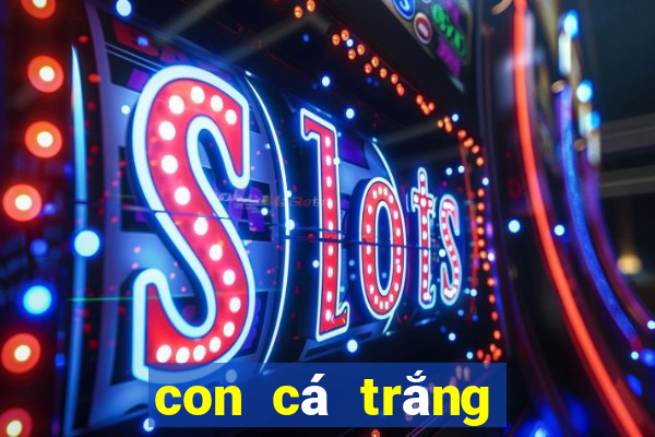 con cá trắng số mấy