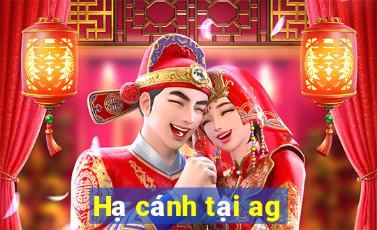 Hạ cánh tại ag