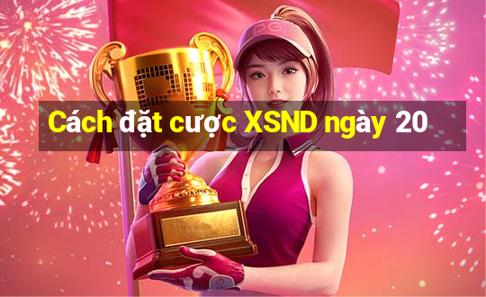 Cách đặt cược XSND ngày 20