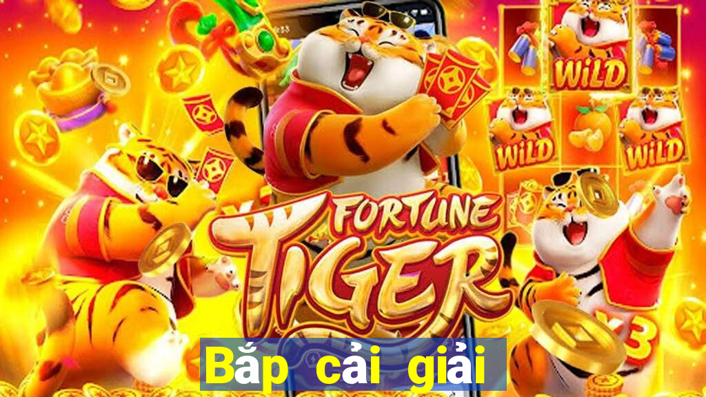 Bắp cải giải trí Net