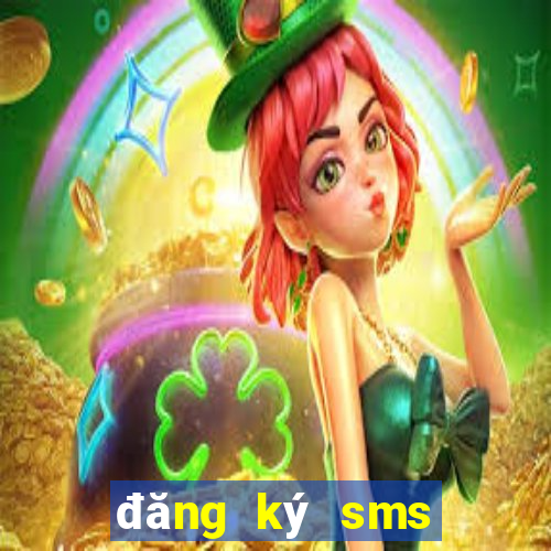 đăng ký sms plus rik