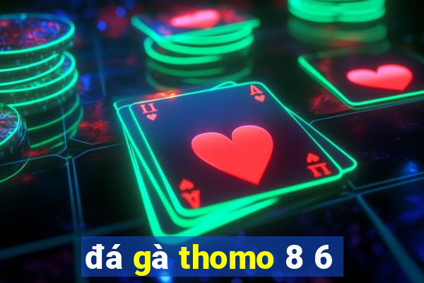 đá gà thomo 8 6