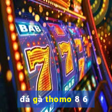 đá gà thomo 8 6