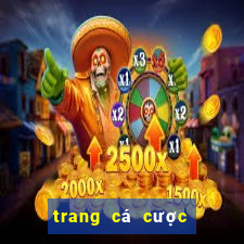 trang cá cược bóng đá bessel