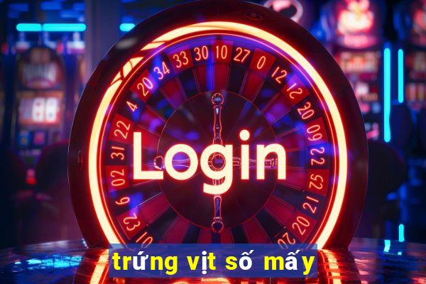 trứng vịt số mấy