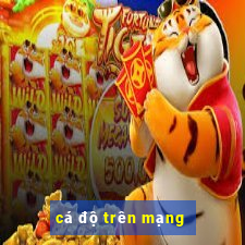 cá độ trên mạng