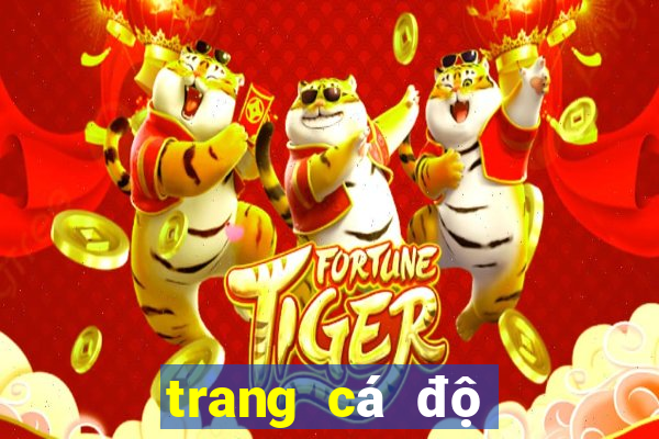 trang cá độ bóng đá dkbl