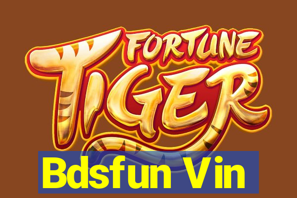 Bdsfun Vin