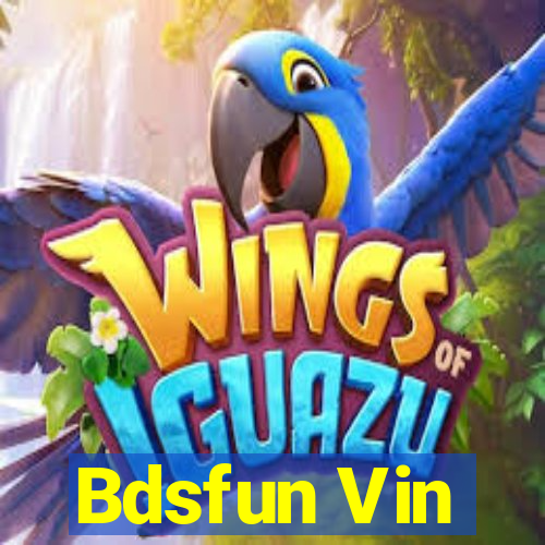 Bdsfun Vin