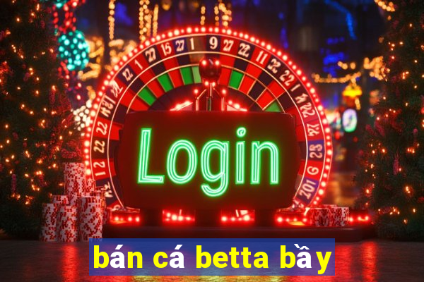 bán cá betta bầy