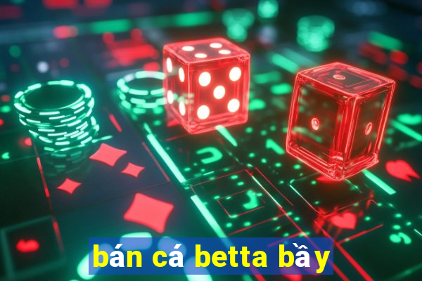 bán cá betta bầy