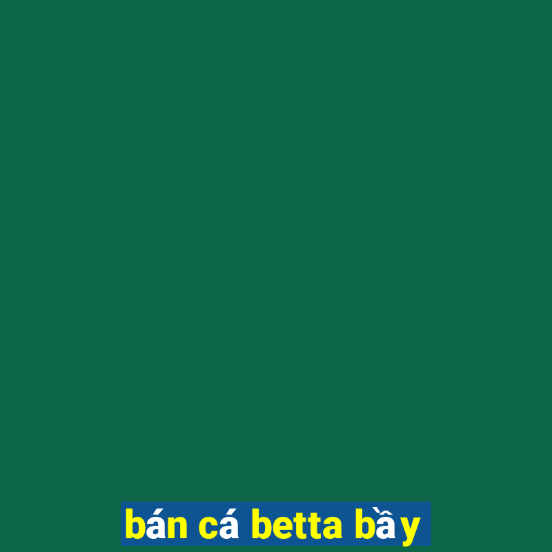 bán cá betta bầy