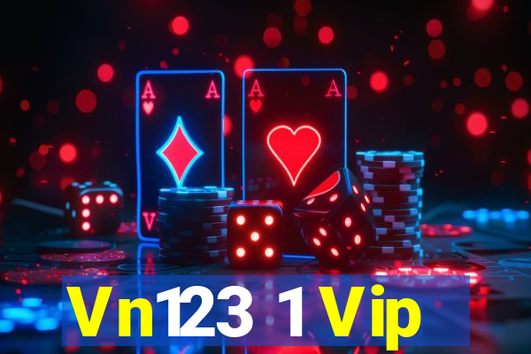 Vn123 1 Vip