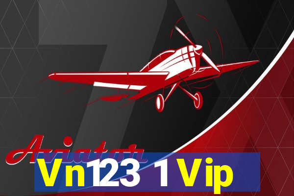 Vn123 1 Vip