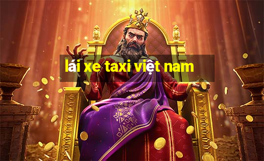 lái xe taxi việt nam