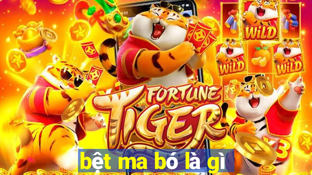 bệt ma bó là gì