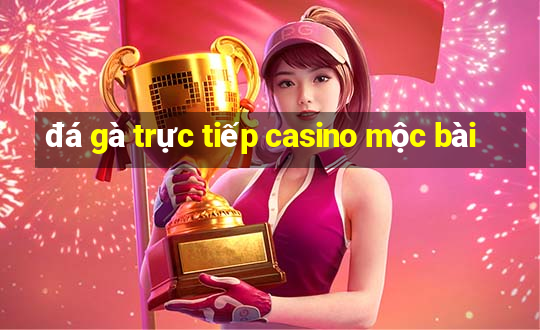 đá gà trực tiếp casino mộc bài