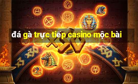 đá gà trực tiếp casino mộc bài