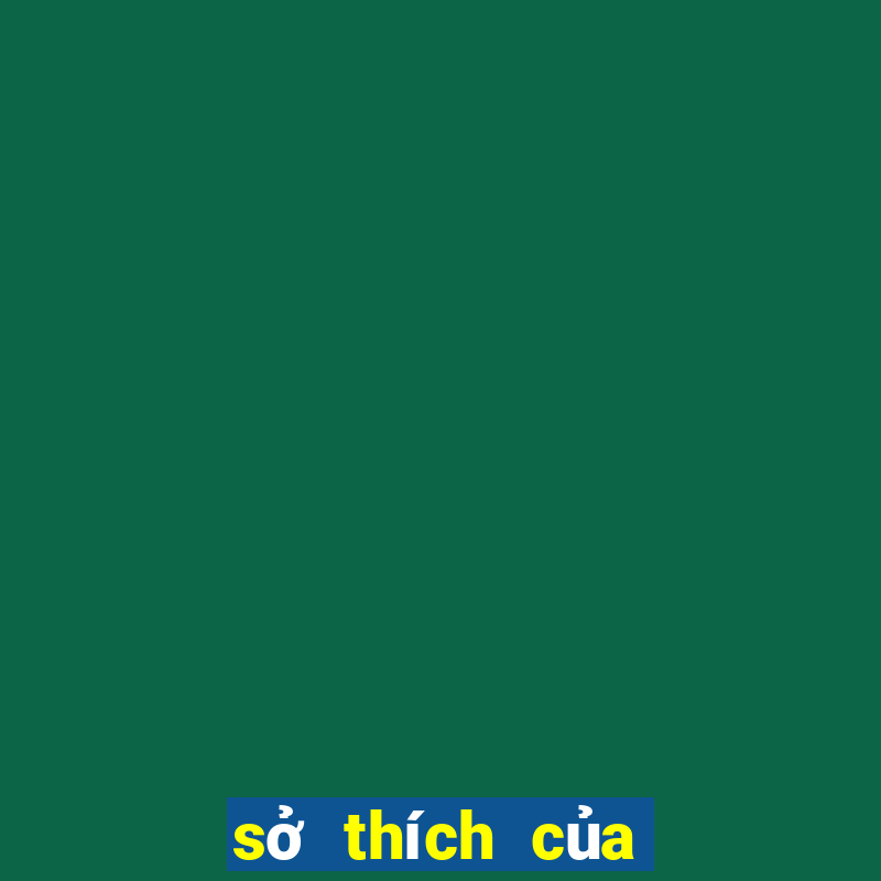 sở thích của sùng ninh