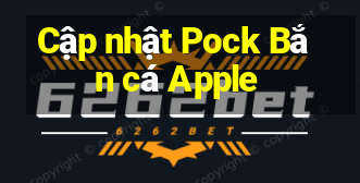 Cập nhật Pock Bắn cá Apple