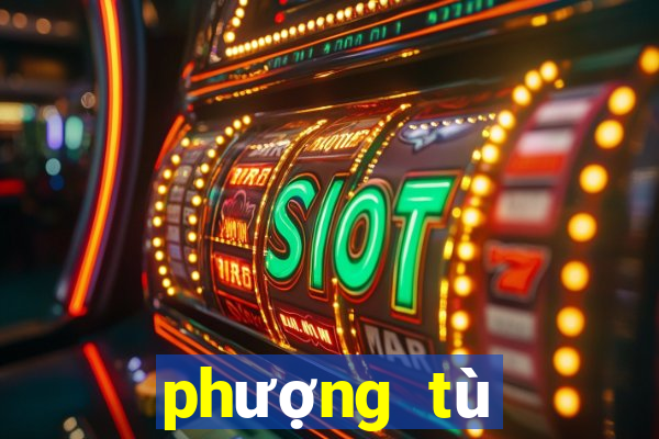 phượng tù hoàng tập 38