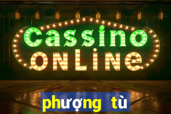 phượng tù hoàng tập 38