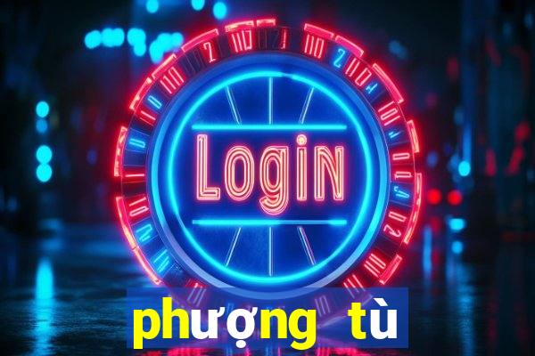 phượng tù hoàng tập 38