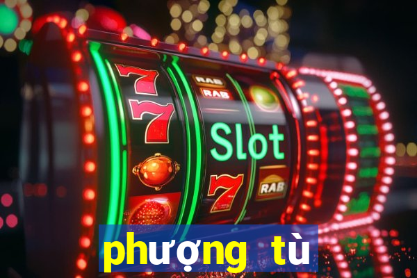 phượng tù hoàng tập 38