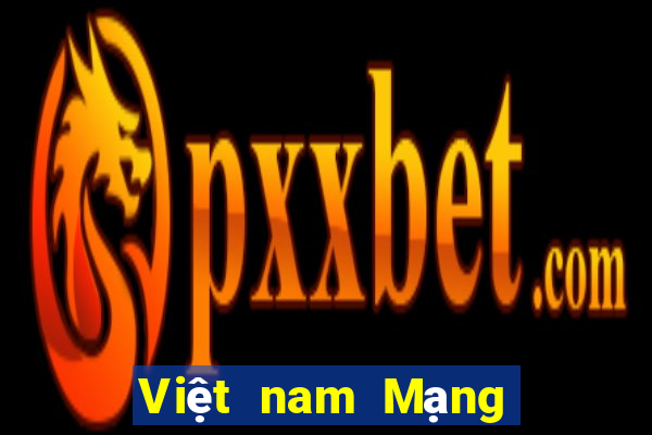 Việt nam Mạng mới Tân Kinh