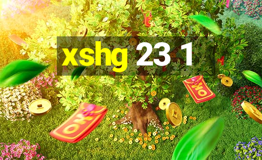 xshg 23 1