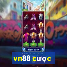 vn88 cược