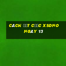 Cách đặt cược XSDNO ngày 13