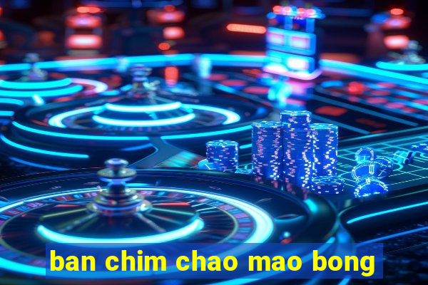 ban chim chao mao bong