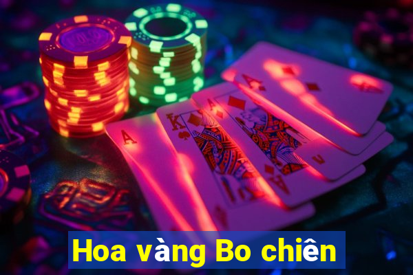 Hoa vàng Bo chiên